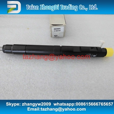 Injector comum 28231014 do trilho de DELPHI para o pairo H6 1100100-ED01 do Grande Muralha fornecedor