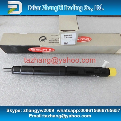 Injector comum 28231014 do trilho de DELPHI para o pairo H6 1100100-ED01 do Grande Muralha fornecedor