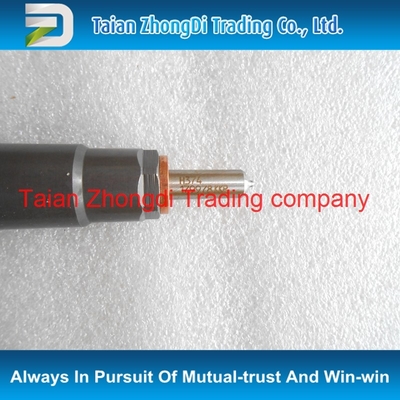 Injetor comum do trilho do original de DELPHI 28229873/338004A710/33800-4A710 para KIA/STAREX fornecedor