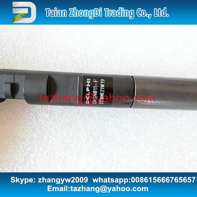 Injetor comum EJBR05301D do trilho do original de DELPHI para YUCHAI F50001112100011 fornecedor