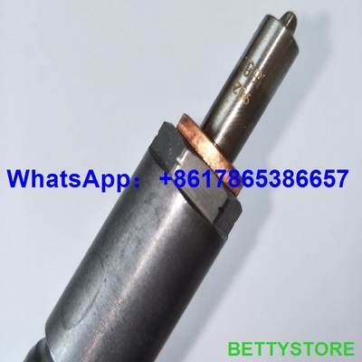 Injetor 0445110310 do trilho da terra comum do injetor 0445110310 de BOSCH, 0 445 110 310, 0445 110 310 fornecedor