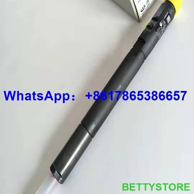 Injetor comum EJBR04201D do trilho de DELPHI, R04201D para o Benz A6460700987 de Mercedes fornecedor