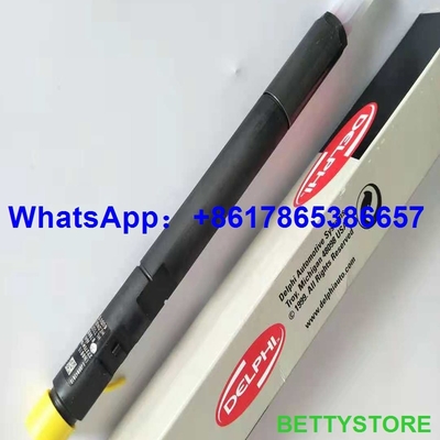 Injetor comum EJBR04201D do trilho de DELPHI, R04201D para o Benz A6460700987 de Mercedes fornecedor